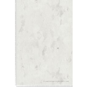 Papier peint vinyle sur intissé Trompe l'oeil L.10.05 x l.0.53 m.  - Réf. SP15580