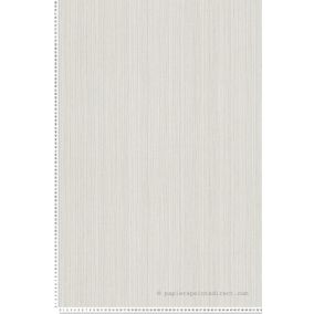 Papier peint vinyle sur intissé Uni L.10.05 x l.0.53 m.  - Réf. AS-388194