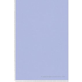 Papier peint vinyle sur intissé Uni L.10.05 x l.0.53 m.  - Réf. AS-389035