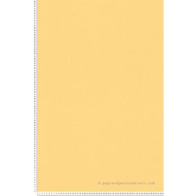 Papier peint vinyle sur intissé Uni L.10.05 x l.0.53 m.  - Réf. AS-389036