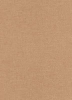Papier peint vinyle sur intissé uni casual brun marron L.1005 x l.53cm Erismann