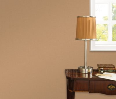 Papier peint vinyle sur intissé uni casual brun marron L.1005 x l.53cm Erismann