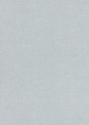 Papier peint vinyle sur intissé uni Casual gris L.1005 x l.53cm Erismann