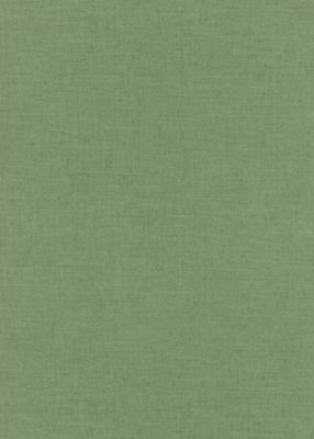 Papier peint vinyle sur intissé uni Casual vert L.1005 x l.53cm Erismann