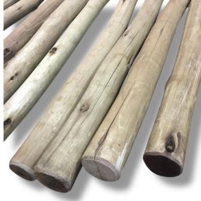 Paquet de 10 piquets d'eucalyptus traités  D 2-5 cm x 1,50 m