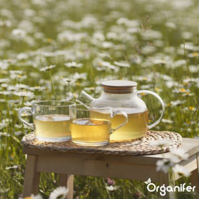 Paquet De Graines D'Herbes Médicinales - 10 Variétés - Pour La Santé Naturelle - Organifer