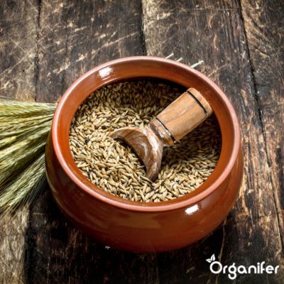 Paquet De Graines D'Herbes Médicinales - 10 Variétés - Pour La Santé Naturelle - Organifer