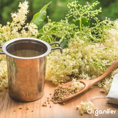 Paquet De Graines D'Herbes Médicinales - 10 Variétés - Pour La Santé Naturelle - Organifer