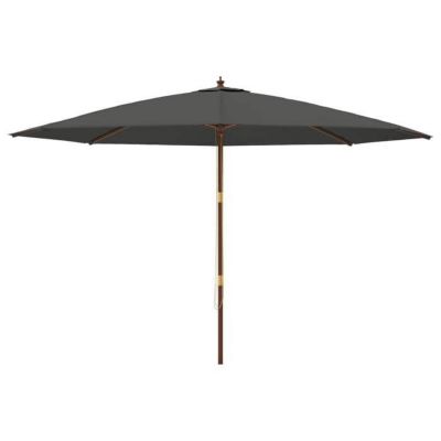 Parasol de jardin avec mât en bois anthracite 400x273 cm vidaXL