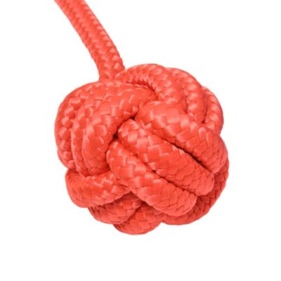 Parcours d'obstacles ninja enfant - 30 accessoires, 10 m de slackline - sac de transport - bleu rouge