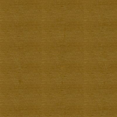 Pâte à bois Chêne clair 1 Kg Syntilor