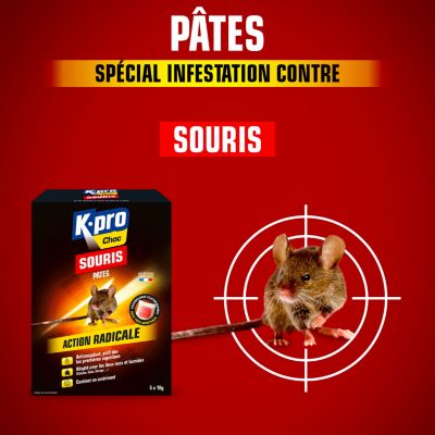 Pâte anticoagulante contre rats et souris Kapo 50G