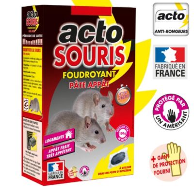 Pâte appât foudroyant souris - 100g - Acto