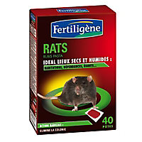 Pâte pour rats, 40 sachets de 10 gr
