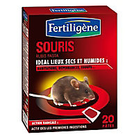 Pâte pour souris Fertiligène 20 x 10g
