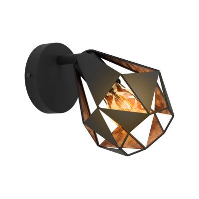 Patère spot E27 40W Eglo Carlton noir L.25,5 x Ø16cm