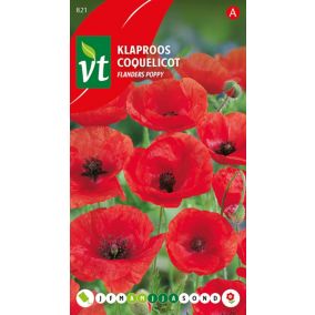 Pavot Rouge - Ca. 0,75 gr   Graines de fleurs