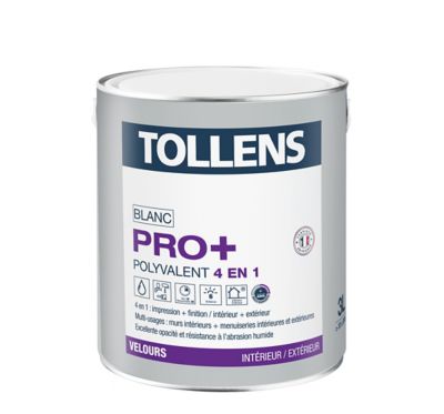 Peinture Blanche Tollensnull