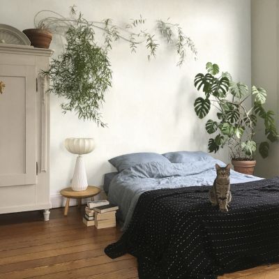 Peinture à effet Maison Déco La Chaux craie 2,5L