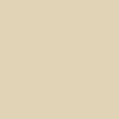 Peinture acrylique satin pour mur et plafond : ARCADÉCO MUR SATIN Ivoire Clair - RAL 1015 - 10 L - ARCANE INDUSTRIES