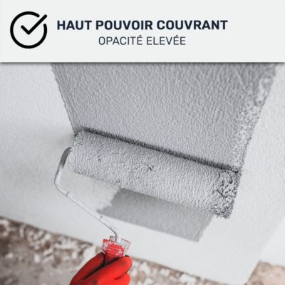 Peinture acrylique satin pour mur et plafond : ARCADÉCO MUR SATIN Ivoire Clair - RAL 1015 - 10 L - ARCANE INDUSTRIES