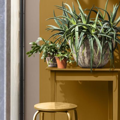 Peinture aérosol Color Touch multi supports Dulux Valentine ocré doré satin 400ml