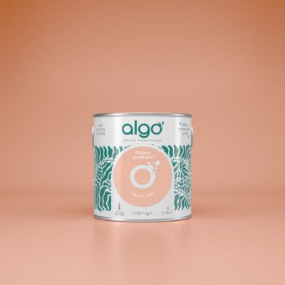 Peinture Algo - Terre Cuite - 5L - Velours