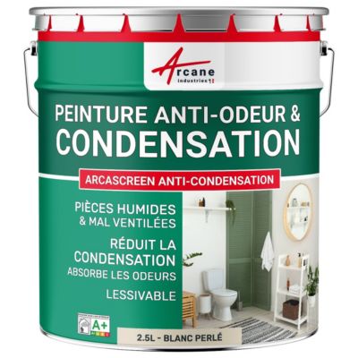 Peinture anti-condensation, anti odeur pour pièces humides Blanc Perlé - RAL 1013 - 2.5 L - ARCANE INDUSTRIES