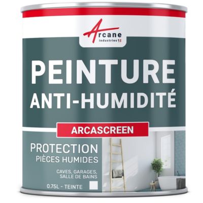 Peinture anti humidité mur humide salle de bain - ARCASCREEN  - 0.75 L (jusqu'à 3 m²) - ARCANE INDUSTRIES