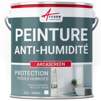 Peinture anti humidité mur humide salle de bain - ARCASCREEN  - 2.5 L (jusqu'à  10 m²) - ARCANE INDUSTRIES