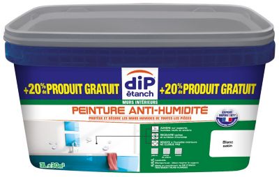 Peinture Anti-Humidité : destinée au traitement et à la protection des murs  contre l'humidité, elle est parfaite comme sous-couche pour une salle de b…