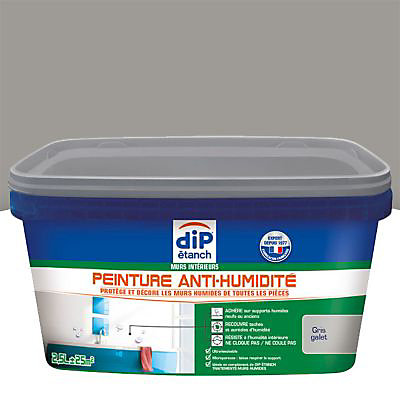 Peinture anti-humidité DIP Gris galet 2,5L