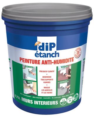 RUST-OLEUM Peinture intérieure anti-moisissures PERMA-WHITE, 3,7 L, blanc Z02712
