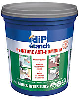 Peinture anti-humidité murs intérieurs DIP gris galet 0,75L