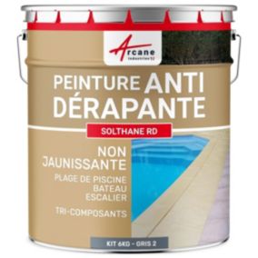 Peinture antidérapante pour sol extérieur - SOLTHANE RD Gris Telegris 2 - RAL 7046 - 6 kg - ARCANE INDUSTRIES