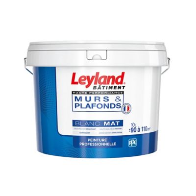 Peinture blanche acrylique LEYLAND Bâtiment 12L