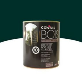 Peinture bois extérieur Colours vert basque satin 0,5L