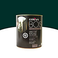 Peinture bois extérieur Colours vert basque satin 2,5L
