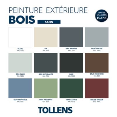 Peinture bois extérieur beige lin RAL 1013 satin Tollens 0.5 L