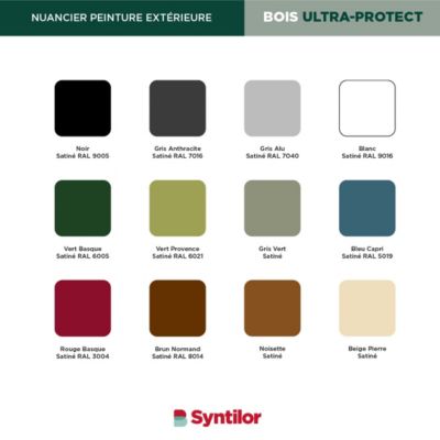 Peinture bois extérieur blanc RAL 9016 satin Syntilor Ultra Protect 0.5 L