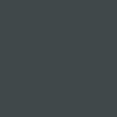 Peinture bois extérieur gris anthracite RAL 7016 satin V33 Solution Expert 2.5 L