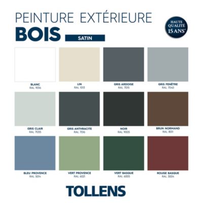 Peinture bois extérieur noir RAL 9005 satin Tollens 0.5 L