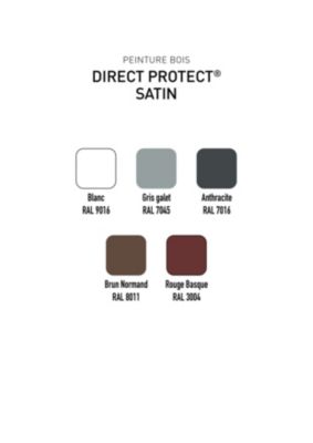 Peinture bois extérieur rouge basque RAL 3004 satin V33 Direct protect 2 L