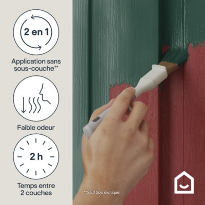 Peinture bois extérieur vert dalkey RAL 6005 satin GoodHome 2.5 L