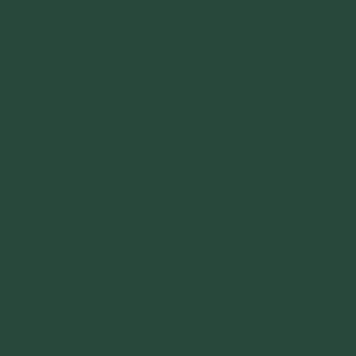 Peinture bois extérieur vert dalkey RAL 6005 satin GoodHome 2.5 L