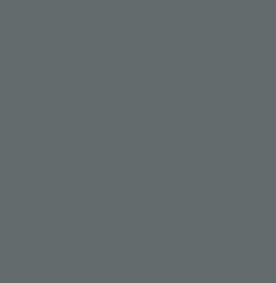 Peinture bois Solution expert gris basalte satin V33 2,5L