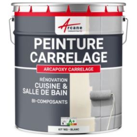PEINTURE CARRELAGE CUISINE ET SALLE DE BAINBlanc - RAL 9003 - 1 kg (jusqu'à 10 m² en 2 couches) - ARCANE INDUSTRIES