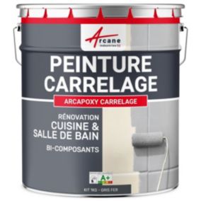 PEINTURE CARRELAGE CUISINE ET SALLE DE BAINGris fer - RAL 7011 - 1 kg (jusqu'à 10 m² en 2 couches) - ARCANE INDUSTRIES