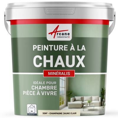 PEINTURE CHAUX NATURELLE - MINERALIS Champagne Jaune Clair - 30 m² (5 kg en 1 couche) - ARCANE INDUSTRIES