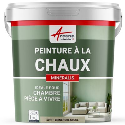 PEINTURE CHAUX NATURELLE - MINERALIS Gingembre Grège - 60 m² (2x5 kg en 1 couche) - ARCANE INDUSTRIES